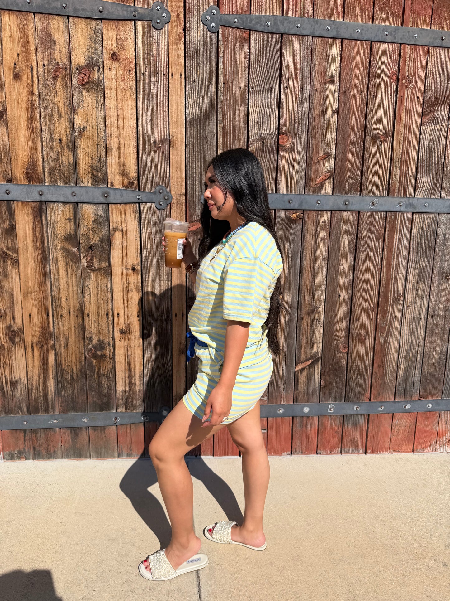 Limeade on the go set